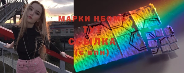 мдпв Верея